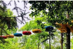 丛林穿越的发展前景分析