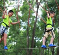 丛林穿越项目多种关卡供您选择