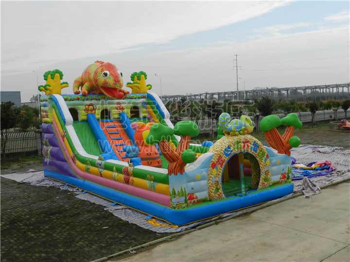 DSCN9224.jpg