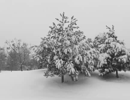 风雨送春归，飞雪迎春到——记2015年的第一张雪