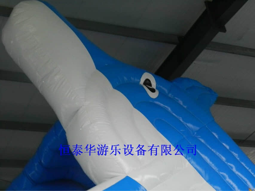 鲸鱼水滑梯